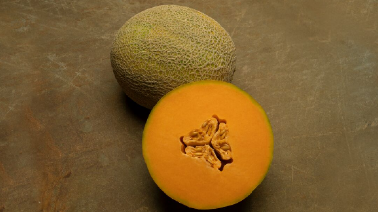 Melon | Syngenta Vegetable Seeds US